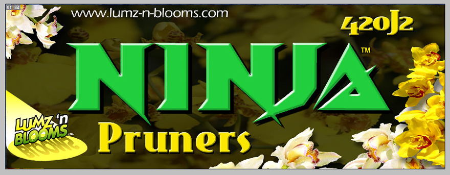 Copy of Ninja box front 4