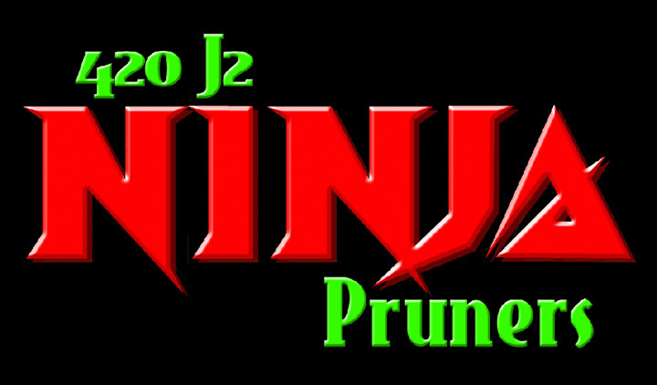 Copy of Ninja logo RED